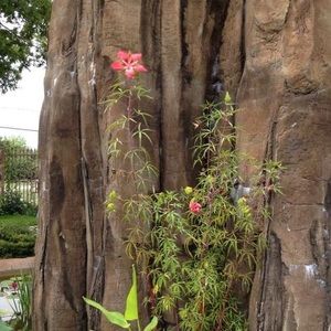 Meet your Posher, Thao thach